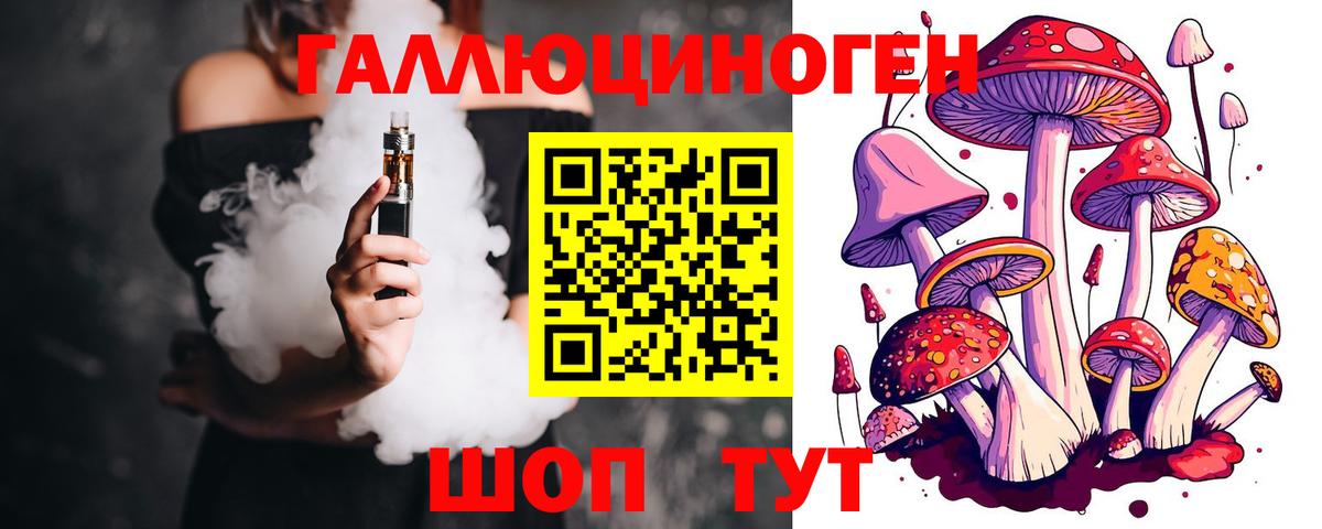 Заволжье  Галлюциногенные грибы прущие грибы  Вход с VPN 